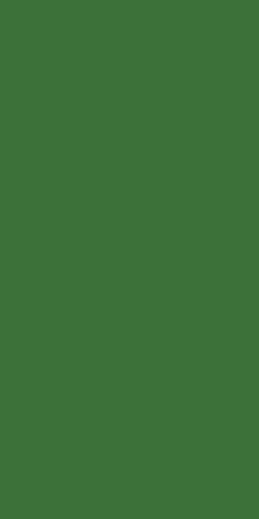 385 � KIWI GREEN