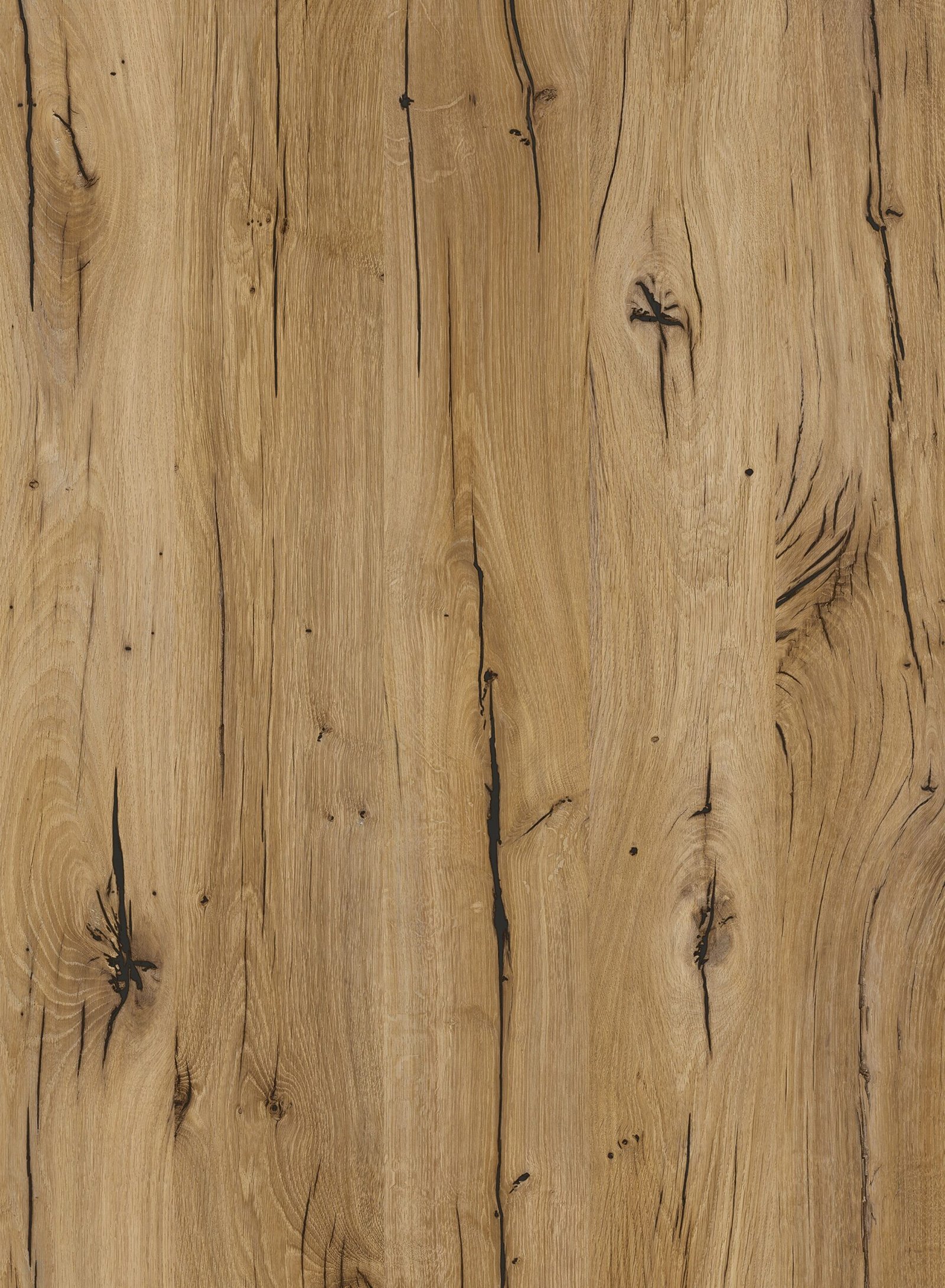 3237 Flagstaff Oak (4)